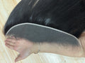 13x4 13x6 Ear To Ear Transparent Frontal Lace Only Straight 2x6 4x4 5x5 6x6 HD Lace Closure Human Hair 100% Brazilian Hair Quality Soft Silky Pre Plucked Bleached Knots Natural Hairline Virgin Hair Pieces For Women Daily Hair-5